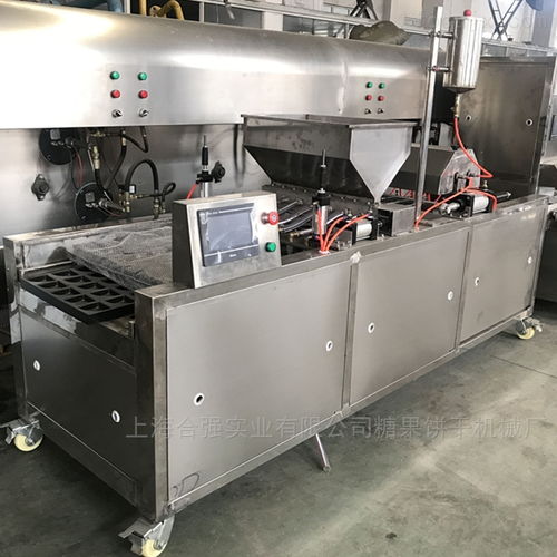 上海合強(qiáng)HQDG-600型蛋糕成型機(jī) 高效單排餅干與蛋糕生產(chǎn)的專業(yè)解決方案